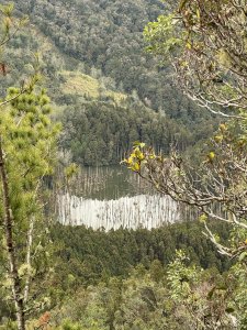鹿屈山、水漾森林雨中一日O型(圖:水漾森林俯瞰)