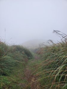 擎天崗＞磺嘴山（原路來回，需事先申請入園）