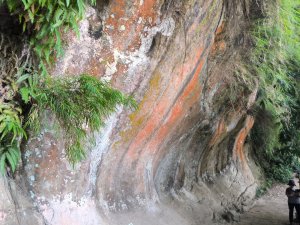 20250824鳶山彩壁