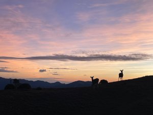 干卓萬橫斷 2024 11/29~12/02