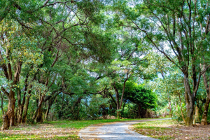 禮納里環區步道