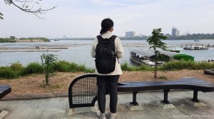 《台南》滄海桑田｜台江內海與黑面琵鷺野生動物保護區20241222