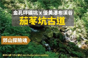 【新北市】茄苳坑採金古道-圓柳古道 連走