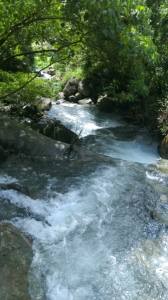 猴洞坑溪步道