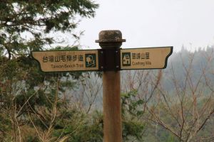 太平山山毛櫸步道