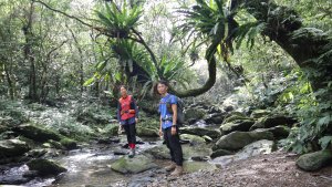 桶後越嶺步道登山健行趣(第227篇旅記分享)
