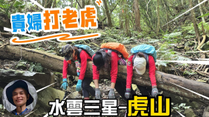 貴婦打老虎，水雲三星之首虎山，中級山的大霸尖山，健腳山友的挑戰路線，可續挑戰虎龍或虎加縱走，上山打老虎，下山至清安豆腐老街大啖美食，泰安泡溫泉，CP值極高。