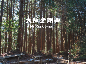 日本｜大阪｜金剛山 — 大阪第一高峰
