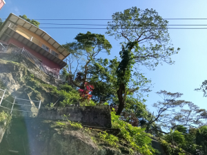 三峽區日月洞步道+石門內尖山+十八羅漢岩+成福山+長壽山