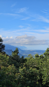 【爬山會爬上癮】五刷小百岳#089鯉魚山。