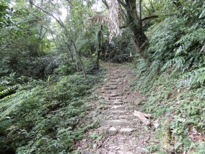 烏山越嶺古道+坪溪古道