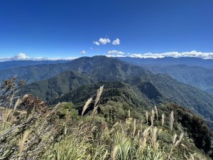 【加里山】魔法森林