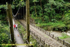 【嘉義】獨立山國家步道