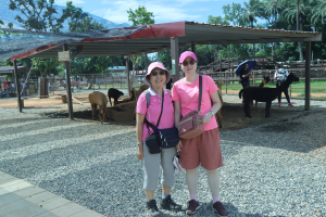 2025-08-02 埔心牧場旅遊(D1)─可愛動物區→羊群大進場→動物運動會→擠牛乳→日式庭園→純青湖→萌萌村餵食秀→漆彈射擊