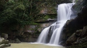 澀水森林步道