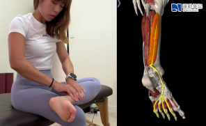 【知識】足底筋膜按摩與伸展  有助改善足底筋膜靈活性及減輕疼痛