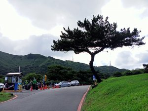 鳥叫蟬鳴的三芝二子坪、菜公坑山、百拉卡山、大屯自然公園