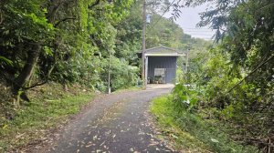 20251120柿子山東南峰-牛稠尾東南峰