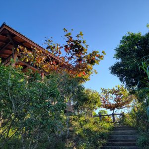 鈺鼎步道連走糖子恩山