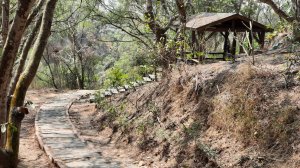 《台中》心靈雞湯｜大肚萬里長城登山步道O繞