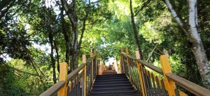 霧峰生態植物園區∥望月峰獻堂步道、中心瓏步道