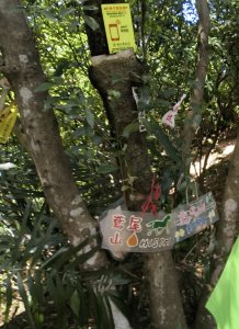 鳶尾山之後的走道不容易通行，到鳶尾山後要下山，要往回走，不然前方道路草很長，還有人拿樹枝擋住，走道中央一堆超大的長腳蜘蛛擋路，往鳶尾山的走道有部分損壞要小心。。