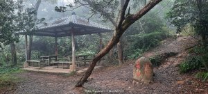 《苗栗》霧雨寒流｜三義三角山步道
