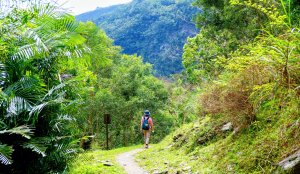 知本森林遊樂區