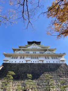 楓之絆----京都大阪賞楓