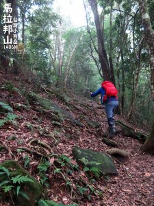 台灣小百岳登山｜苗栗馬那邦山秋季健行，連續陡上考驗體力