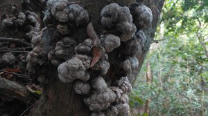 衣丁山單攻初體驗2025年3月30日