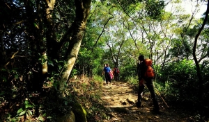 飛鳳山