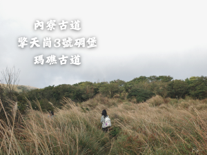 內寮古道、擎天崗3號碉堡、瑪礁古道O型｜陽明山腳下幽靜的林蔭山徑