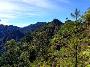 鳶嘴西稜接橫嶺山沙連山下大雪山社區O形縱走