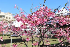 內溝山、老鷲尖山
