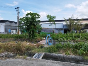 [彰化溪州][一]三條圳、新莊子