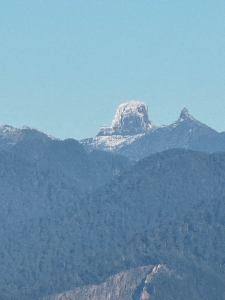 1140209雪見北坑山及大板根步道
