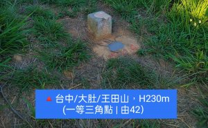 🔺台中/大肚/王田山，H230m (一等三角點 | 由42）