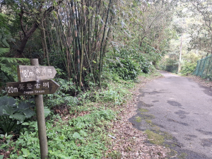 菁礐百年水圳步道-竹篙嶺古道-竹篙山-擎天崗