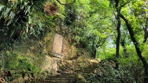 金字碑古道，大粗坑古道