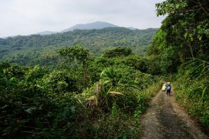 【高雄】六龜登大寮山、后山、望頭山、紅禾林山