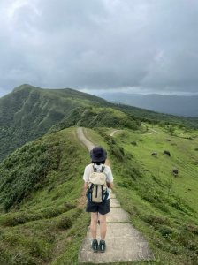 大里車站-草嶺古道-桃源谷步道-大溪車站