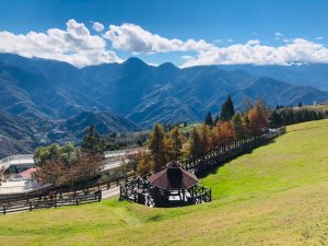 合歡山清境農場