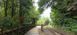在平溪線上尋找一段被遺忘的時光∥望古嶺腳步道，望古瀑布、嶺腳石窟瀑布