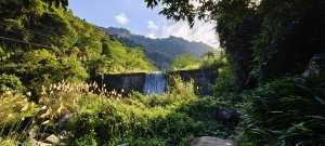 北埔一日遊(冷泉步道+大分林山+老街)-2025/12/14