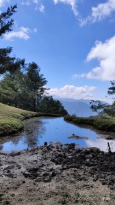 塔塔加 to 麟趾山一日遊