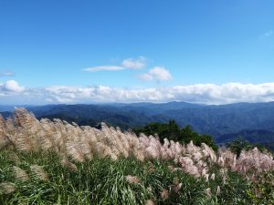 [新北坪林][一]大舌湖山、烏窟子山、倒吊蓮山、倒吊嶺、三腳木崙(倒吊嶺東峰)、獅公髻尾山(傑士嶺、火燒寮山)、大坪山、漁光派出所(大舌湖)、鶯子瀨