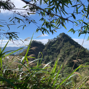 王瑞琦的頭像