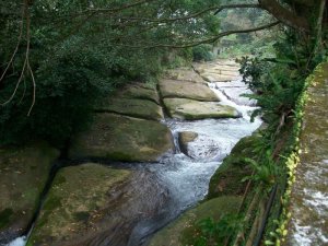 山林間的自我研究：聖人橋梅花山連走心得，提升身心品質的健行指南