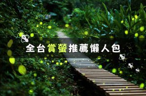 【昆蟲】2019螢火蟲季！全台賞螢懶人包-新北、台中、南投等地推薦景點